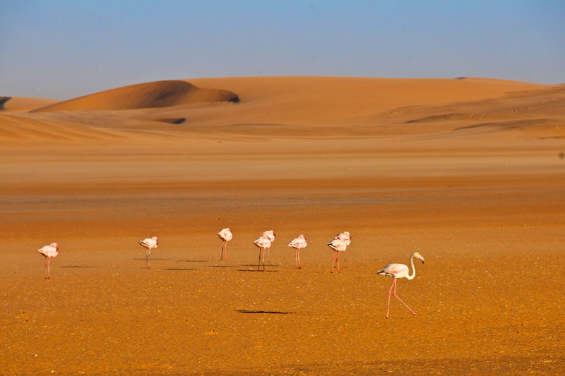 Namibia